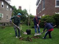 Wells Fargo volunteers plant trees at Oak Lane Library.